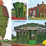 RiverFront Flower Show at Ahmedabad