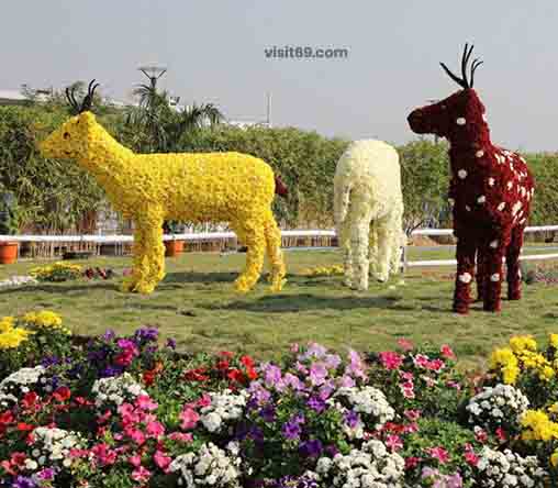 Statue of Animal Flower Show Ahmedabad Gujarat